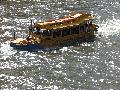 Duck Tours 2 030813