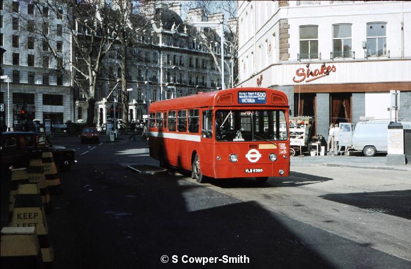 S41,19,MBA538,500,VICTORIA,VICTORIA BUS STN,1981 OR 2.jpg