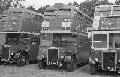 ,BW42,21,RTL0453,,,HILLINGDON SHOW,24061978