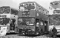 ,BW42,25,M0001,,,HILLINGDON SHOW,24061978