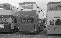 ,BW42,26,M0001,,,HILLINGDON SHOW,24061978