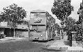 184,BW59,22,DMS0117,184,ELEPHANT & CASTLE,IVYDALE RD,AUG1978