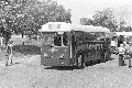 BW19,19,RF041,,,HILLINGDON BUS GATHERING,071977