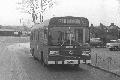 BW27,11,LS116,248,UPMINSTER PARK ESTATE VIA CRANHAM,UPMINSTER STATION,260278