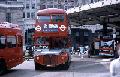 SPECIAL,S39,40,RM0595,SPECIAL,,VICTORIA BUS STN,28Jul81