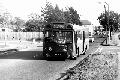 231,BW05,12 SMS219 231 TURNPIKE LANE STN ENFIELD 101976
