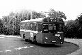 254,BW05,17 SMS822 254 LOUGHTON STN LOUGHTON 101976
