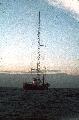 S050001 ROSS REVENGE 1986