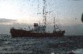 S050006 ROSS REVENGE 1986