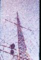 S050020 ROSS REVENGE 1986