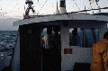 S050031 ON SEAHORSE 1986